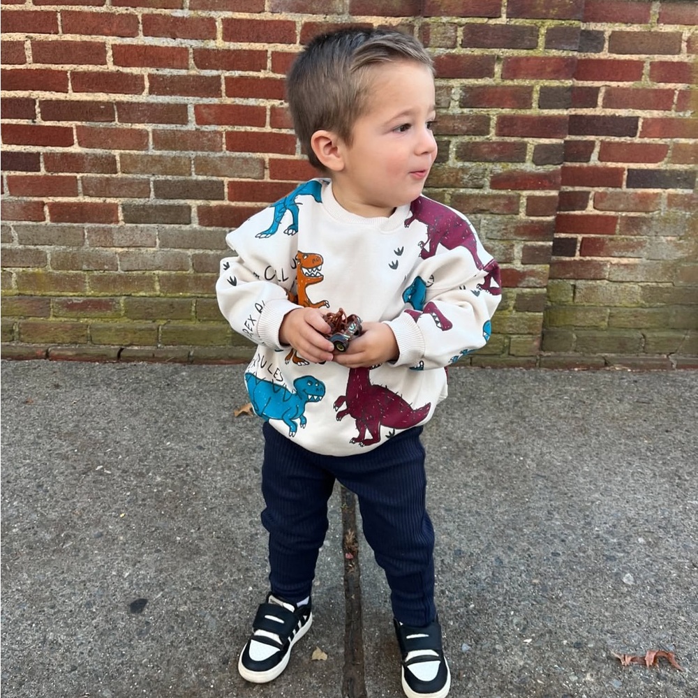 🦖 Zara Dinosaur Crewneck Sweatshirt – 1–1.5 Years 🦖